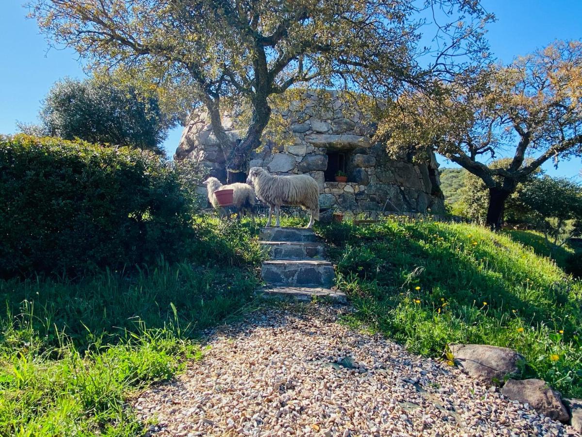 Il Nuraghe Del Lago Coghinas Oschiri Extérieur photo