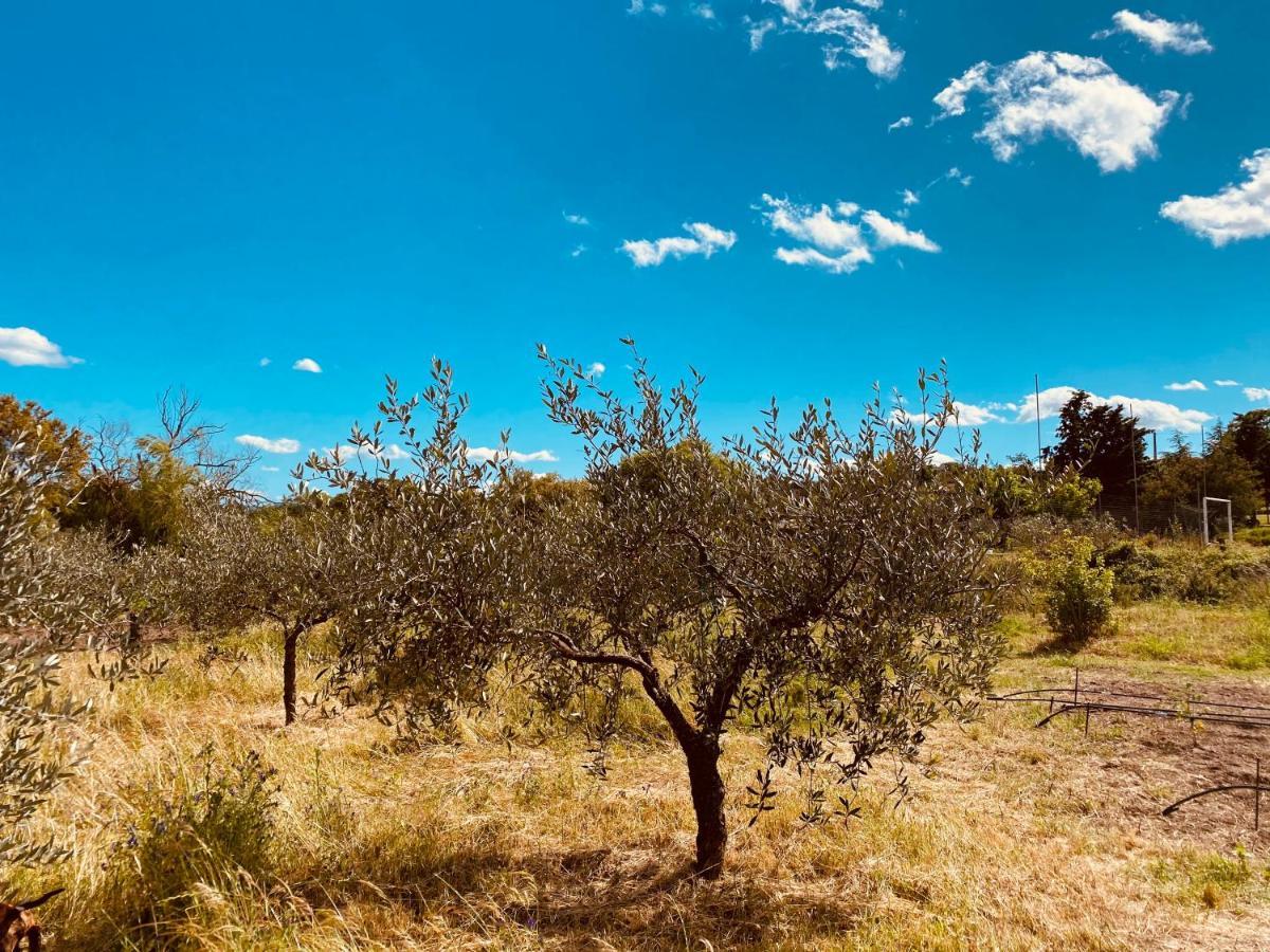 Il Nuraghe Del Lago Coghinas Oschiri Extérieur photo
