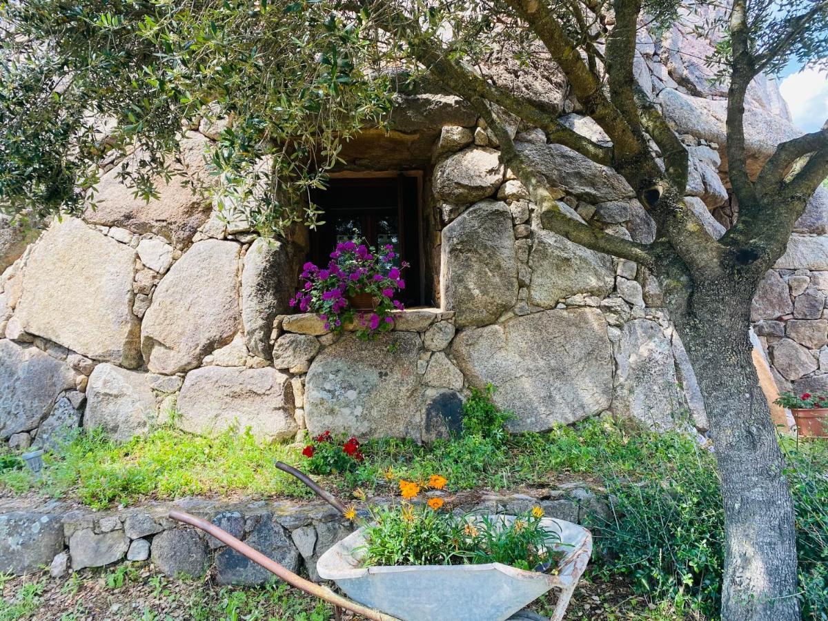 Il Nuraghe Del Lago Coghinas Oschiri Extérieur photo
