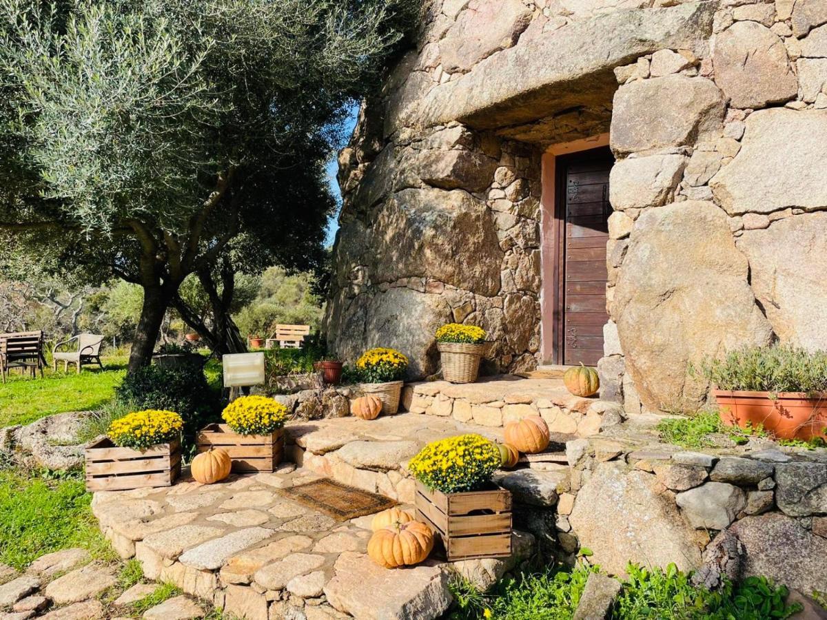 Il Nuraghe Del Lago Coghinas Oschiri Extérieur photo