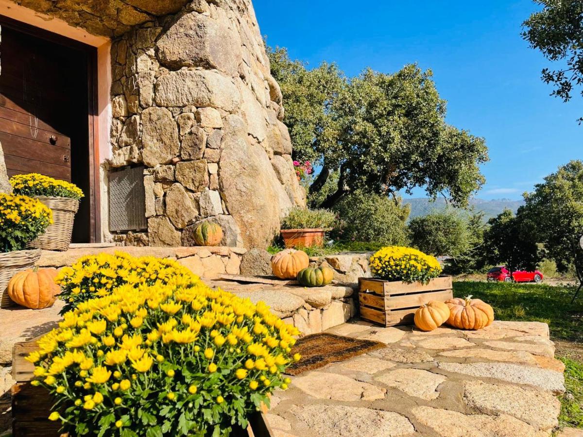 Il Nuraghe Del Lago Coghinas Oschiri Extérieur photo