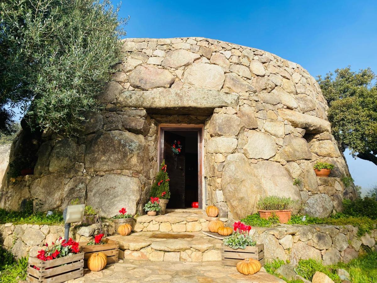 Il Nuraghe Del Lago Coghinas Oschiri Extérieur photo