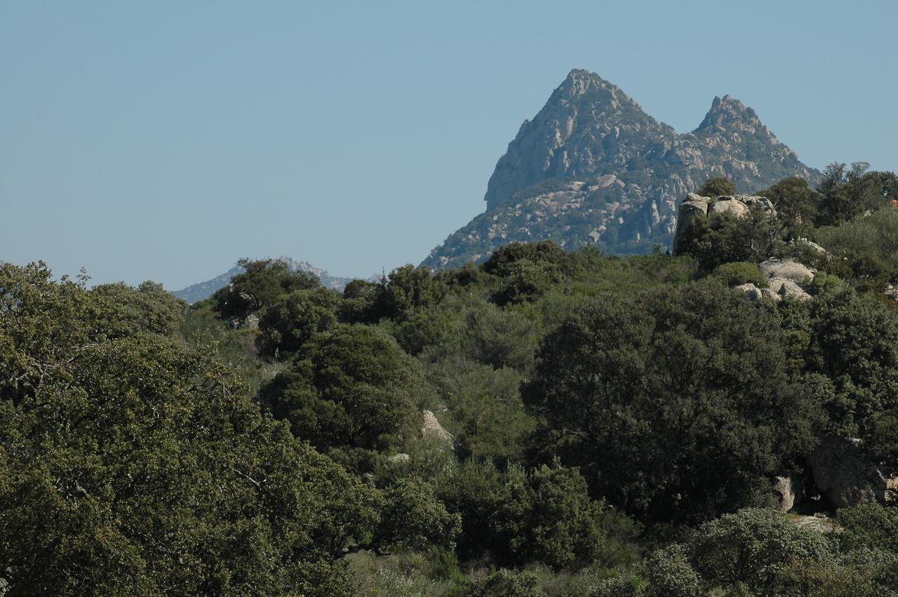 Il Nuraghe Del Lago Coghinas Oschiri Extérieur photo